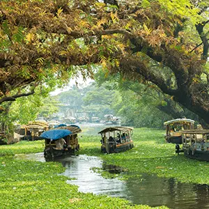 Alleppey